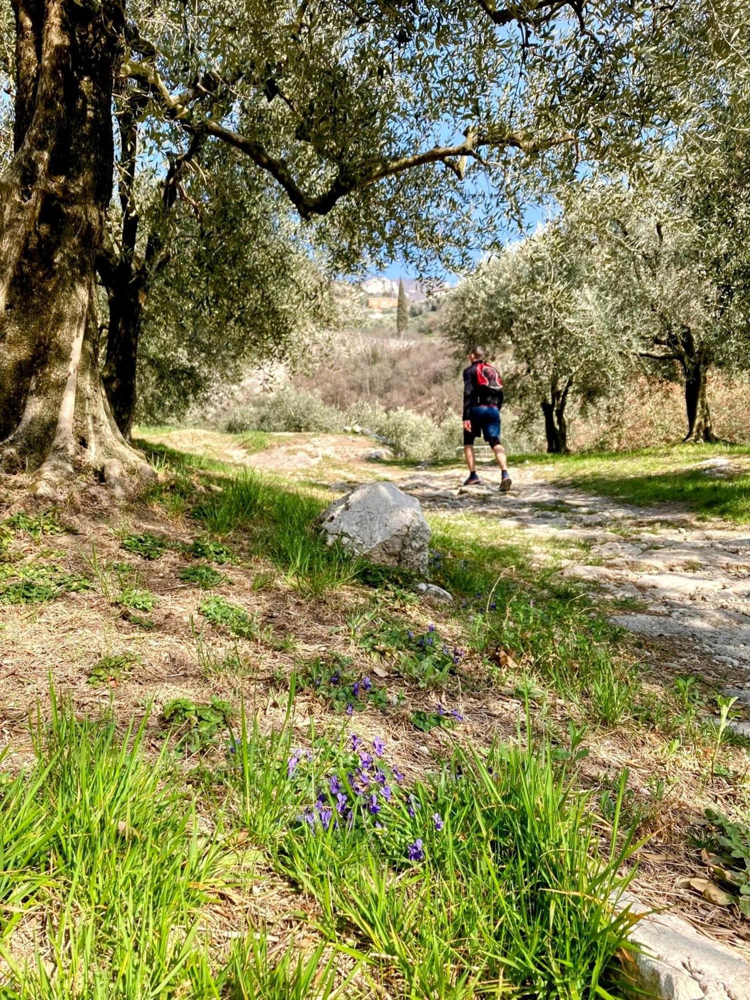 Garni Francesco 3* Torbole Sul Garda